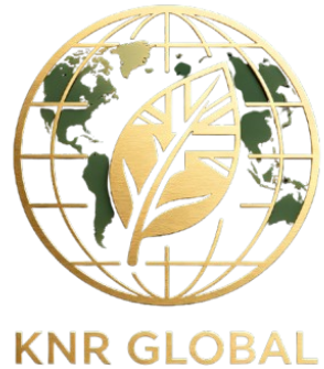 KNR GLOBAL LTD